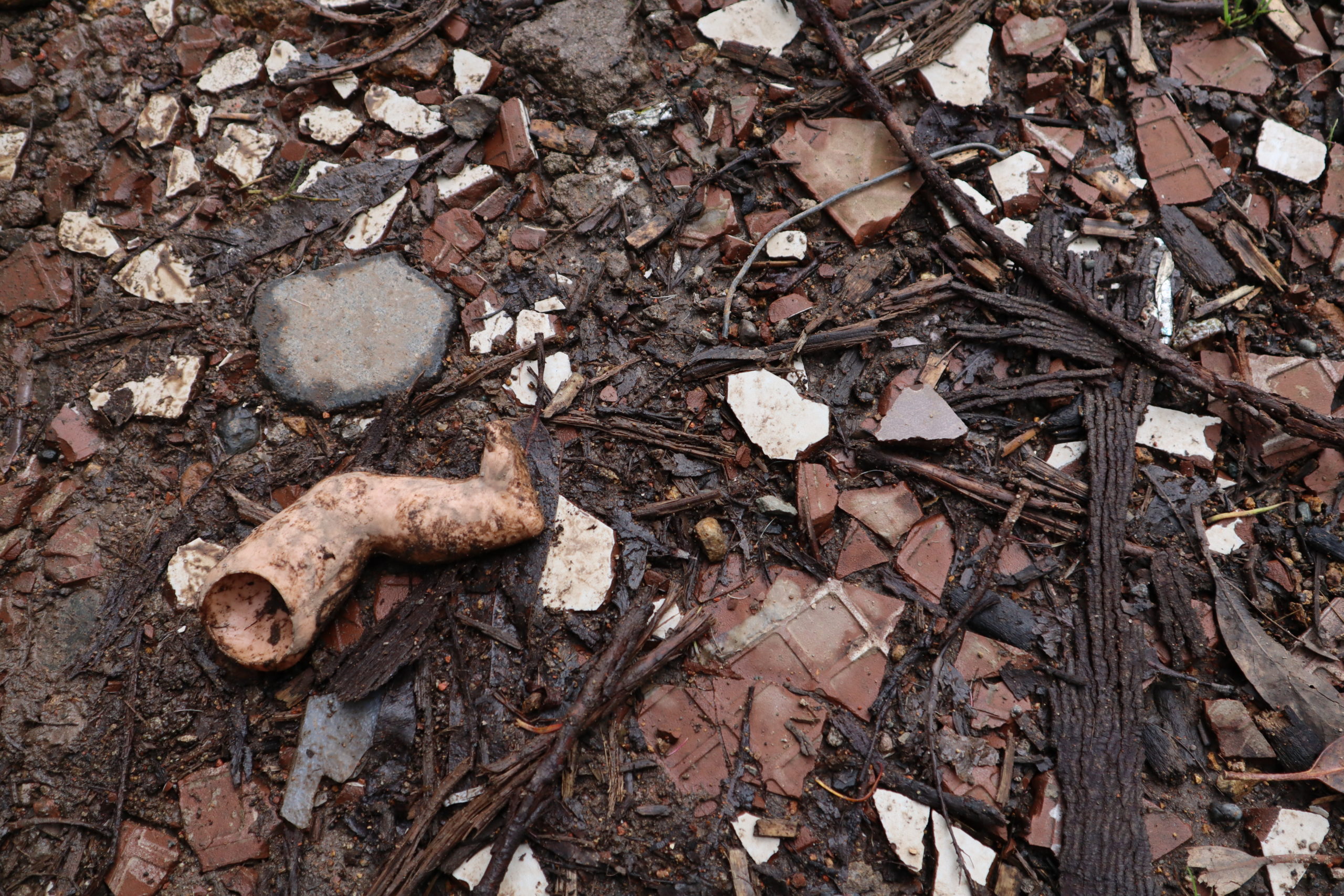 Interrupting purity in early childhood education